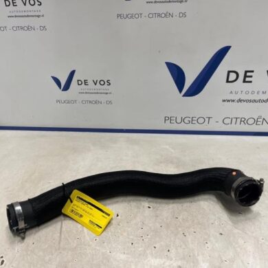 Peugeot Expert  Intercooler hose AH01 2025 9807540580