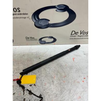Peugeot 3008  Gasdemper links-achter 2018 9809682280-9830770280