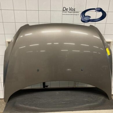 Peugeot 307 1.6 16V Motorkap 2004 7901J0