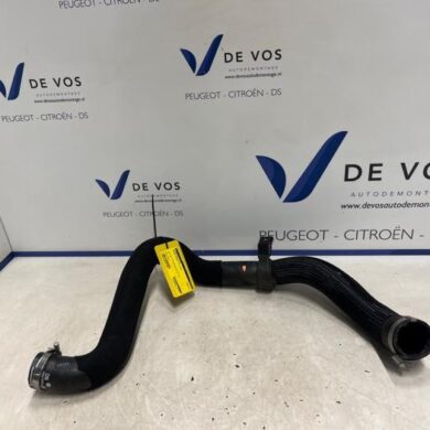 Peugeot Expert  Intercooler Schlauch AH01 2025 9806720880