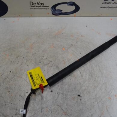 Peugeot 3008  Gasdemper rechts-achter 2019 9830769680