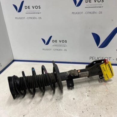 DS Automobiles DS3 Crossback 1.2 12V PureTech 130 Front shock absorber rod, left 2021 9831087880-9844512080