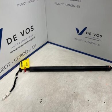 Citroen C5 Aircross 1.2 e-THP PureTech 130 Rear gas strut, left 2020 9817432680