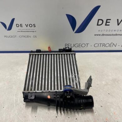 Opel Grandland X  Intercooler 5G06 2021 9675627980