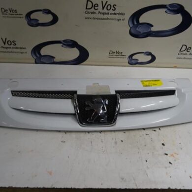 Peugeot Partner 1.6 HDI 75 Grille 2012 7804N1