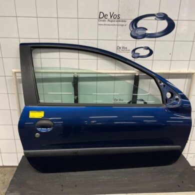 Peugeot 206 1.4 XR,XS,XT,Gentry Portier 2Deurs rechts 2006 9004K6