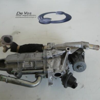 Citroen C5  EGR Klep 8XZ 2010 1618KW