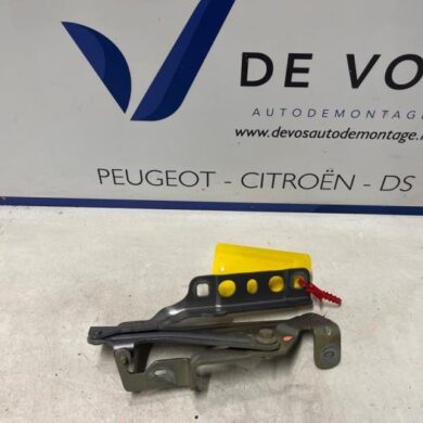 Peugeot 3008  Motorkap Scharnier 2021 9814189880