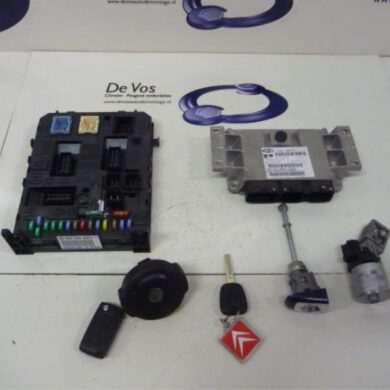 Citroen C5 2.0 16V Computer Motormanagement RFJ 2008 194413-194414