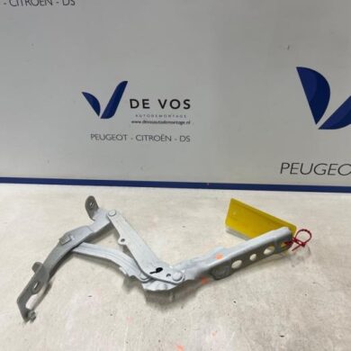 Opel Grandland X  Motorkap Scharnier 2021 9814189880