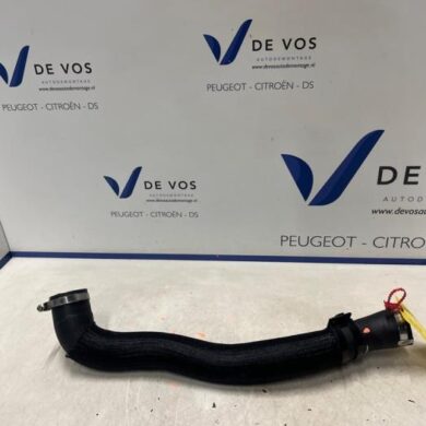 Peugeot Expert 2.0 Blue HDi 150 16V Intercooler Slang AHX 2022 9820476580