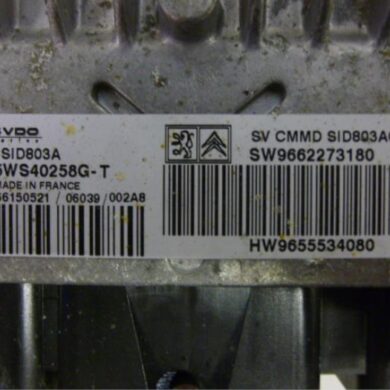 Citroen C5  Computer Motormanagement RHR 2006 194003-1942X7
