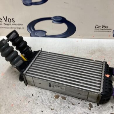 Peugeot 2008 1.2 VTi 12V PureTech 130 Intercooler HNS 2021 9824742280