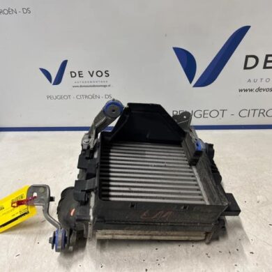 Peugeot 508 1.6 16V THP 165 Intercooler 5GY 2020 9675627980