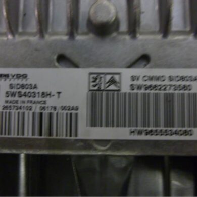 Citroen C5 2.0 16V Computer Motormanagement RFN 2003 194349