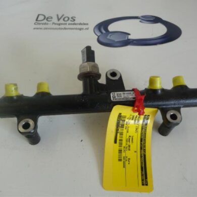 Peugeot 3008  Galerij (Injectie) RHE 2010 1570P3