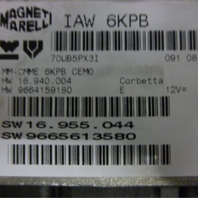 Citroen C5  Computer Motormanagement RFJ 2008 194421-194422-194392-194393