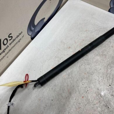 Peugeot 3008  Gasdemper links-achter 2021 9830770280