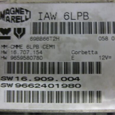 Citroen C4 Picasso 2.0 16V Autom. Computer Motormanagement RFJ 2007 1942XL-1942XN