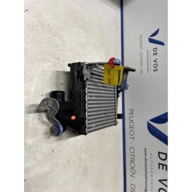 Peugeot 3008 1.2 12V e-THP PureTech 130 Intercooler HNS 2021 9675627980