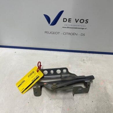 Peugeot 3008  Motorkap Scharnier 2021 9814188880