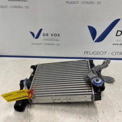 Peugeot Expert  Ladeluftkühler AH01 2025 9806562180