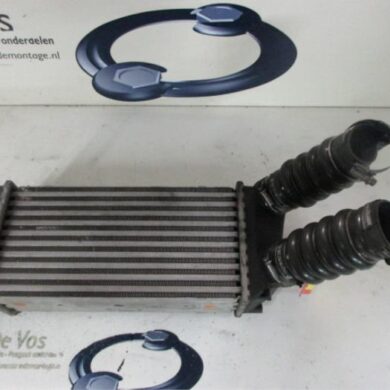 Peugeot 307 1.6 HDiF 16V Intercooler 9HY 2005 0384H5