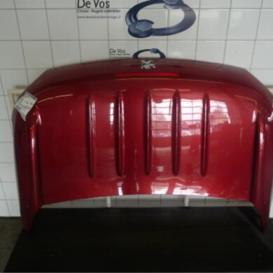 Peugeot 206 2.0 16V Achterklep 2002 860677