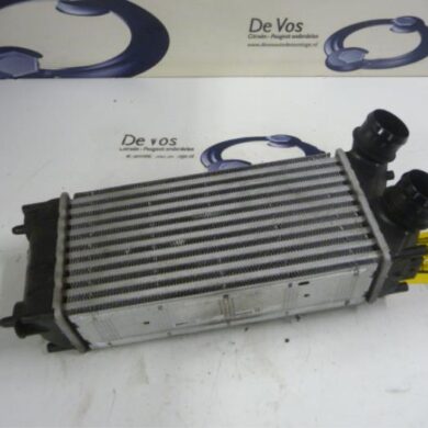 Peugeot Partner 1.6 HDI 75 Intercooler 9H06-9HN9H06 2014 0384N9