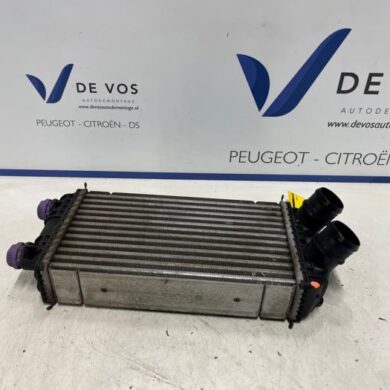 Peugeot 2008 1.2 VTi 12V PureTech 100 Intercooler HNK-HN05 2021 9824742280