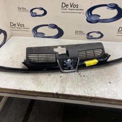 Peugeot 206 1.6 16V Grille 2003 7804H4