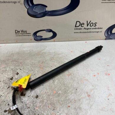 Peugeot 3008  Gasdemper rechts-achter 2020 9830769680