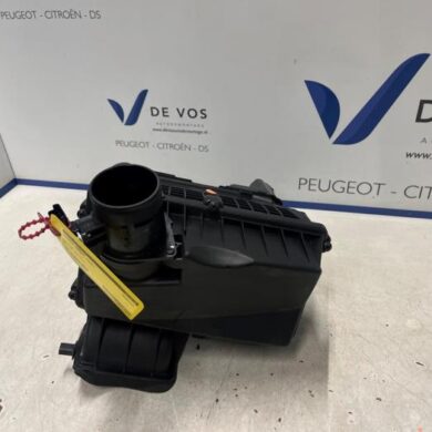 Peugeot Expert 2.0 Blue HDi 150 16V Air box AHX 2022 9676423480