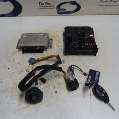 Citroen C5 2.0 16V Computer Motormanagement RFN 2004 194349-194049