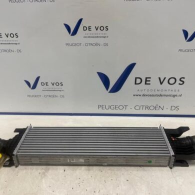 DS Automobiles DS4 1.6 16V PureTech 180 Intercooler 5G06 2021 9833004180