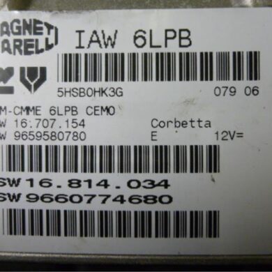 Peugeot 307 2.0 16V Computer Motormanagement RFJ 2006 1943A2-1939RC-1943A3