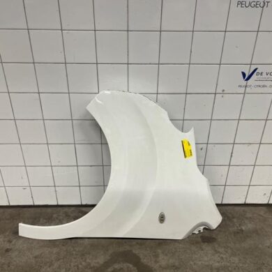 Peugeot Expert 2.0 Blue HDi 150 16V Front wing, left 2022 9808757880