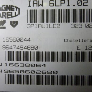 Peugeot 307 2.0 16V Computer Motormanagement RFN 2003 194041-1942KP