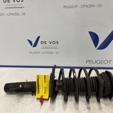 Citroen C3 1.2 12V e-THP PureTech 110 Schokdemperpoot links-voor 2019 9815657980