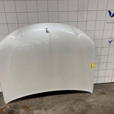 DS Automobiles DS4 1.6 16V PureTech 180 Motorkap 2021 9834262380