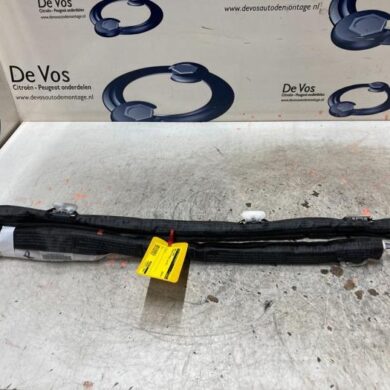 Citroen C4 Picasso 1.6 BlueHDI 120 Hemel Airbag 2017 9800483180