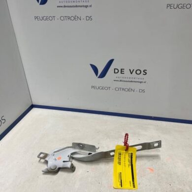 Peugeot Expert 2.0 Blue HDi 150 16V Bonnet Hinge 2022 9808654480-9823131780