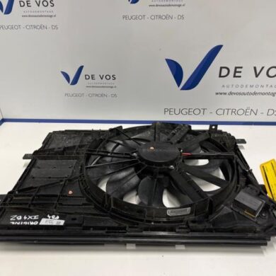 Peugeot 3008  Koelvinhuis 2021 9811069580-9836058380