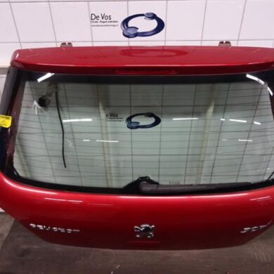 Peugeot 307 1.6 16V Achterklep 2003 8701S5