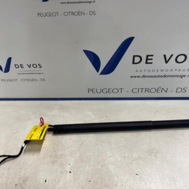 Citroen C5 Aircross 1.2 e-THP PureTech 130 Rear gas strut, right 2020 9817432080