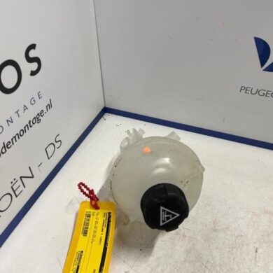 Opel Grandland X 1.6 Turbo 16V Hybrid4 Expansievat 2021 9678125880