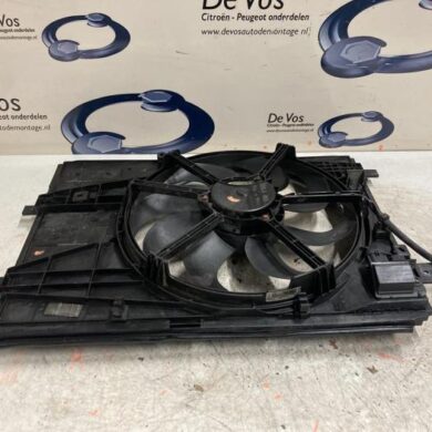 Citroen C4 Picasso  Koelvinhuis 2019 9806313280