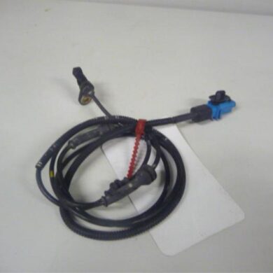 Citroen Diversen 2.0 HDi 110 ABS Sensor 2001 454587