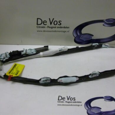 Citroen C4 Picasso 1.6 HDi 16V 110 Hemel Airbag 2008 8216PR