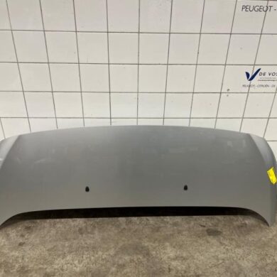 Peugeot Expert 2.0 Blue HDi 120 16V Motorkap 2020 9811892880